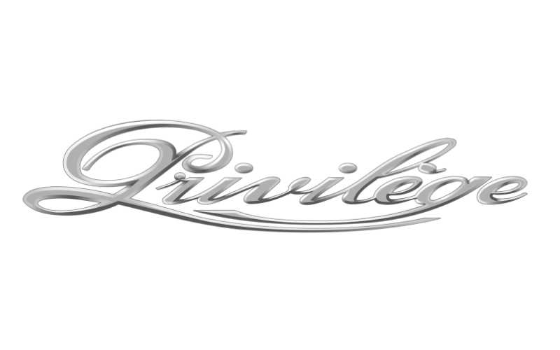 Privilege Logo